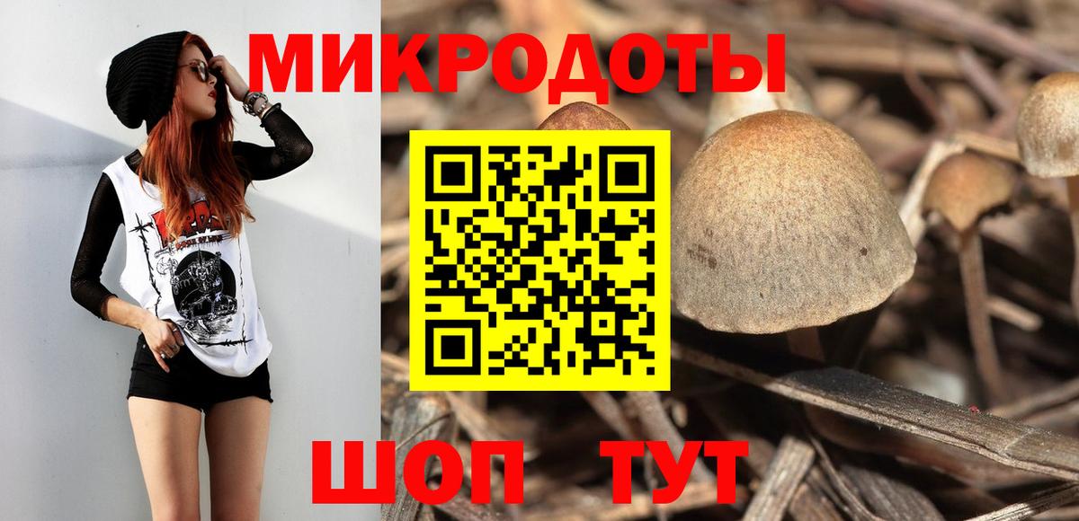 Галлюциногенные грибы прущие грибы Саров